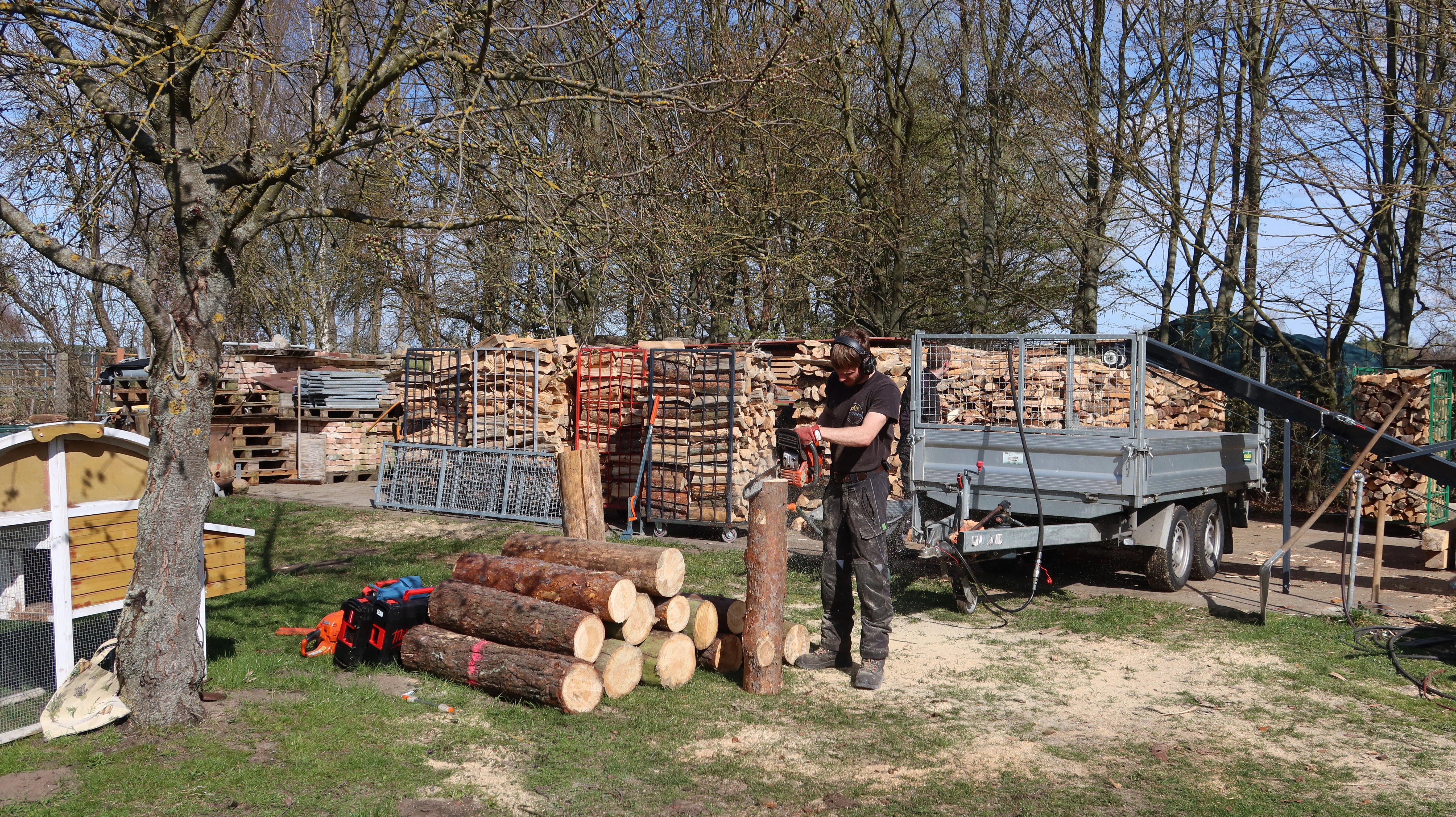 Aufarbeitung von Stammholz nach Baumarbeiten